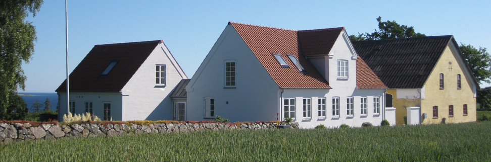 Udsigt fra stort sommerhus på Sydfyn